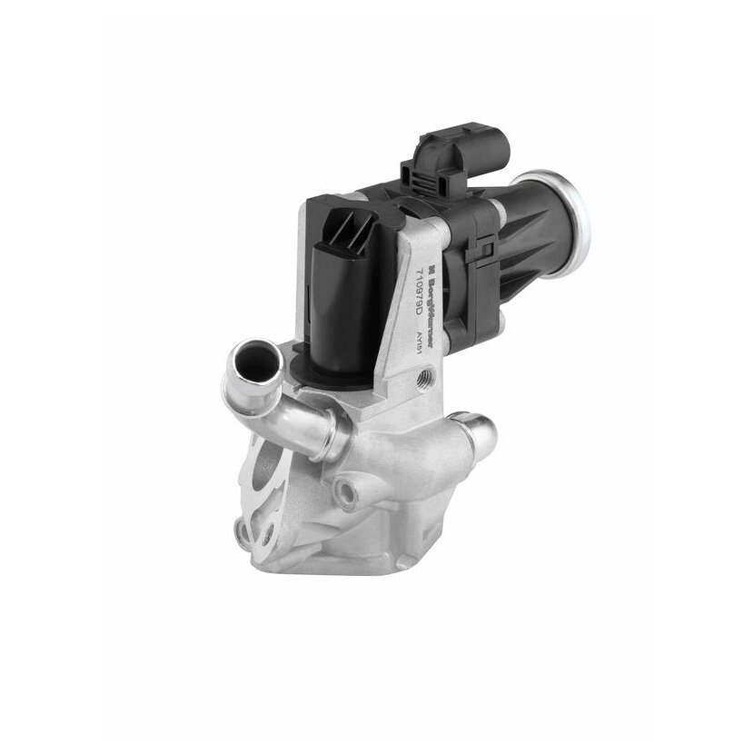 WAHLER AGR-Ventil 710979D für 9800555380