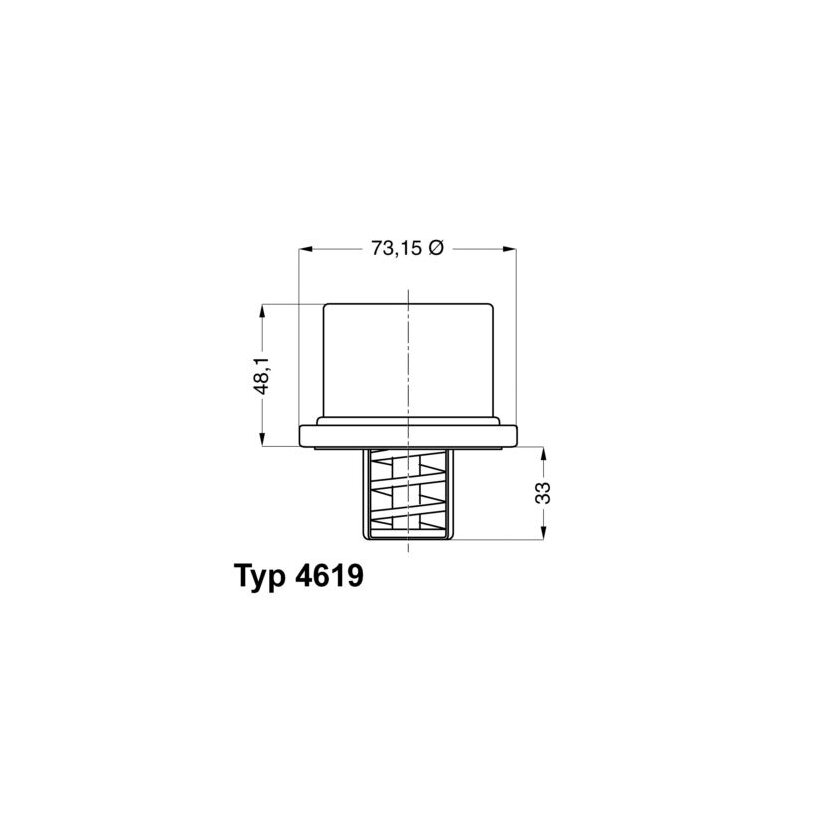 WAHLER Thermostat, Kühlmittel 4619.86 - 461986 für 50 409 6443