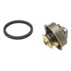 WAHLER Thermostat, Kühlmittel 4089.71D - 408971D