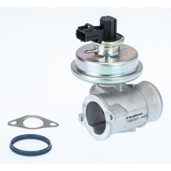 WAHLER AGR-Ventil 710923D für 1220819