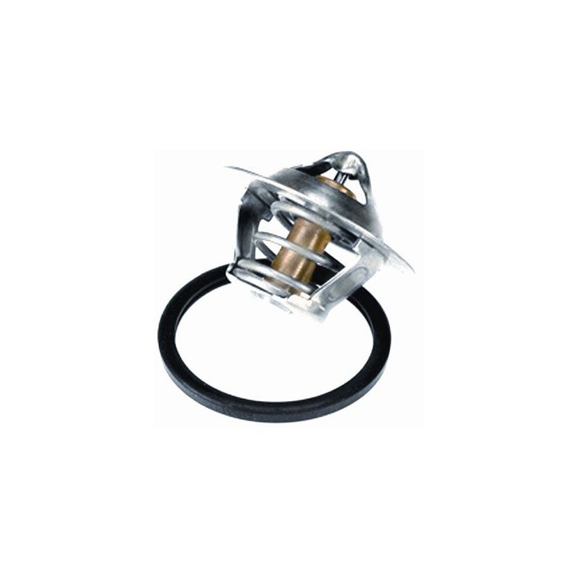 WAHLER Thermostat, Kühlmittel 3466.89D - 346689D für 21200-00Q0A