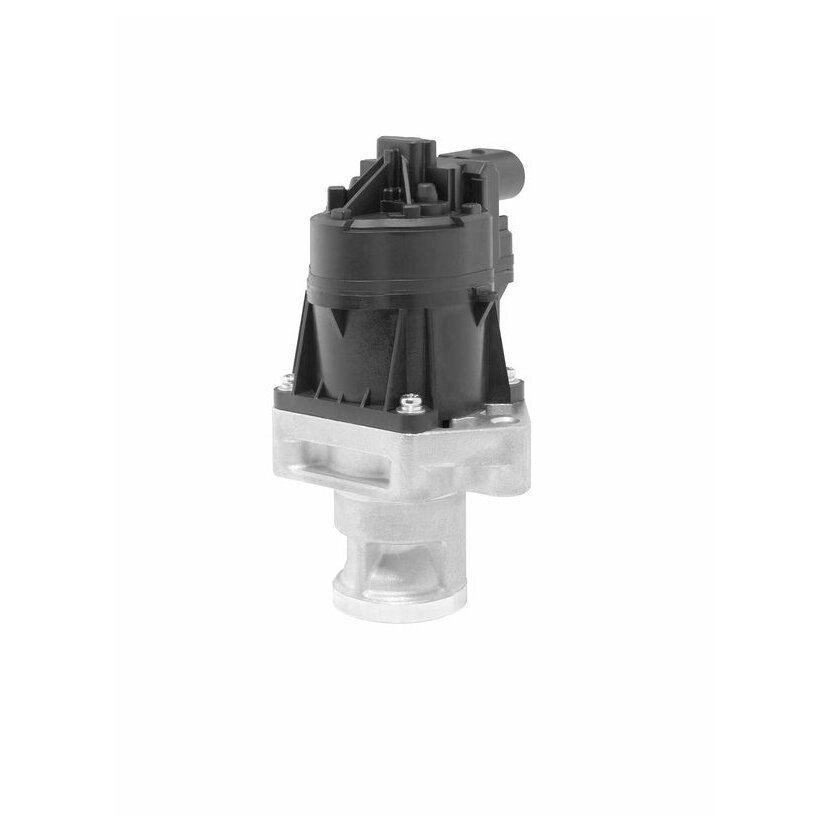 WAHLER AGR-Ventil 710559D/1 für 5520 9609