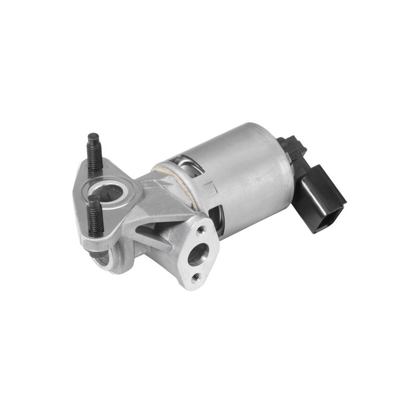 WAHLER AGR-Ventil 710628D für 5303 2509 AE