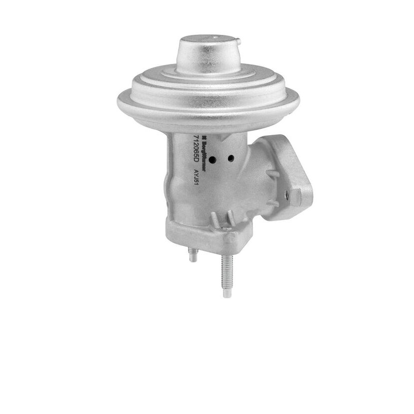 WAHLER AGR-Ventil 712065D/1 für 1127240