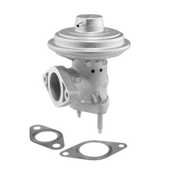 WAHLER AGR-Ventil 712065D/1 für 1127240