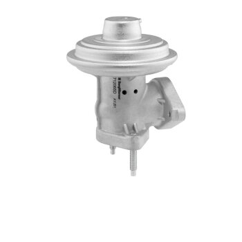 WAHLER AGR-Ventil 712065D/1 für 1127240