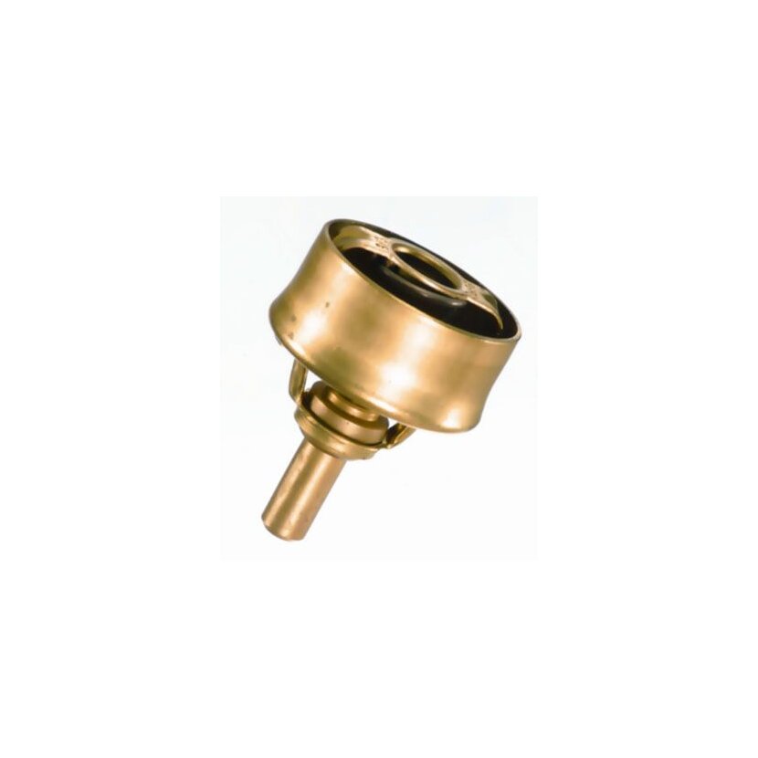 WAHLER Thermostat, Kühlmittel 3029.89 - 302989 für 77 00 727 190