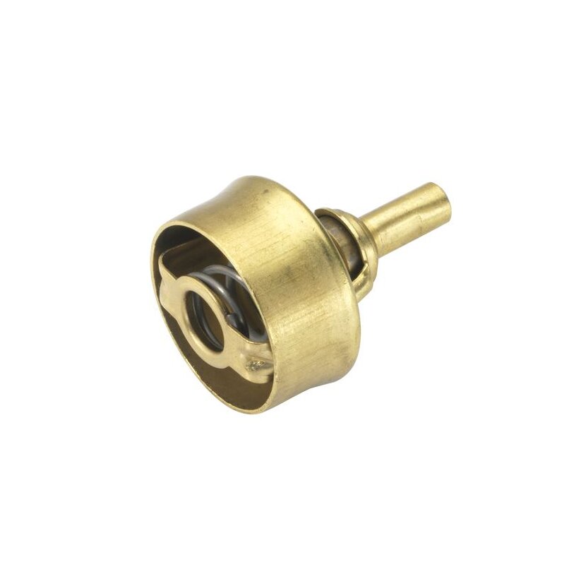 WAHLER Thermostat, Kühlmittel 3029.89 - 302989 für 77 00 727 190