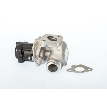 WAHLER AGR-Ventil 711021D für 161859