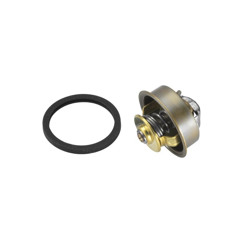 WAHLER Thermostat, Kühlmittel 4089.87D - 408987D für 273 459
