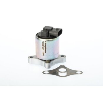 WAHLER AGR-Ventil 710961D/1 für 17098055