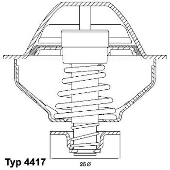 WAHLER Thermostat, Kühlmittel 410289.81D - 41028981D