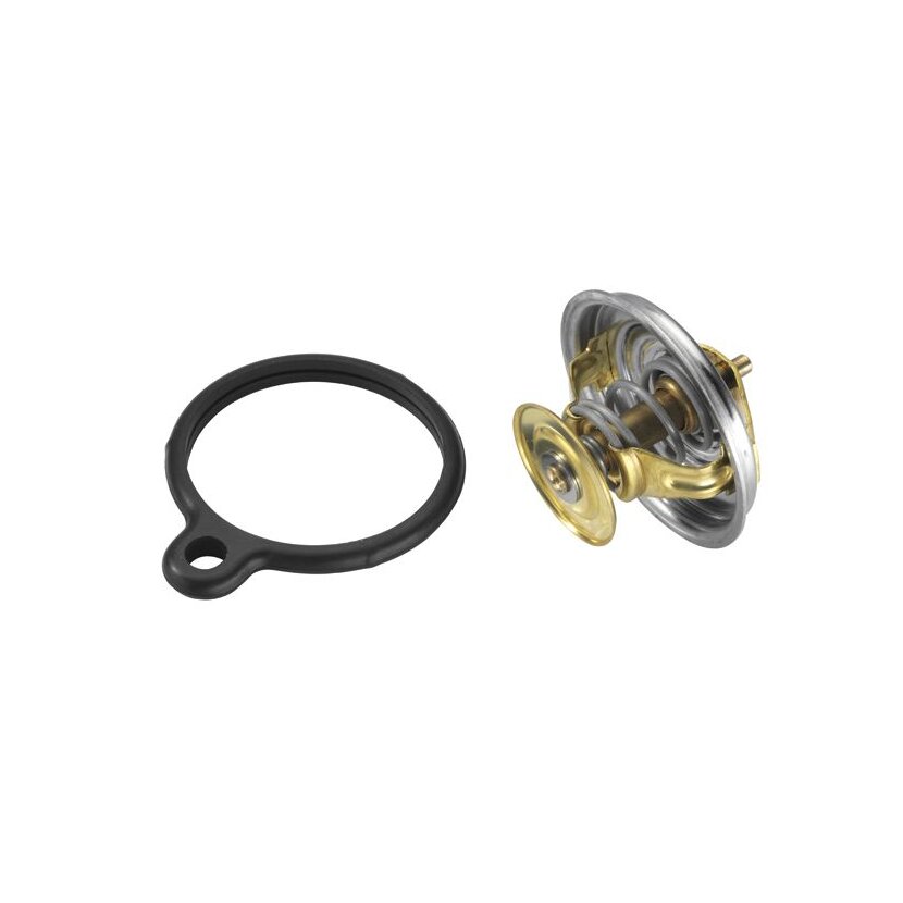 WAHLER Thermostat, Kühlmittel 4049.80D1 - 404980D1 für 617 200 18 15