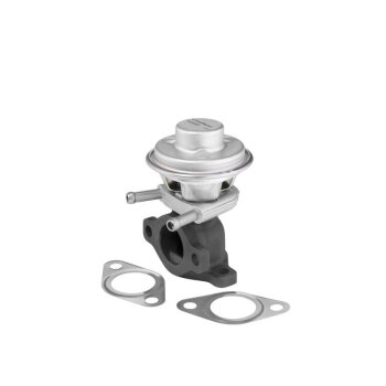 WAHLER AGR-Ventil 712069D für 504150396