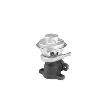 WAHLER AGR-Ventil 712069D für 504150396