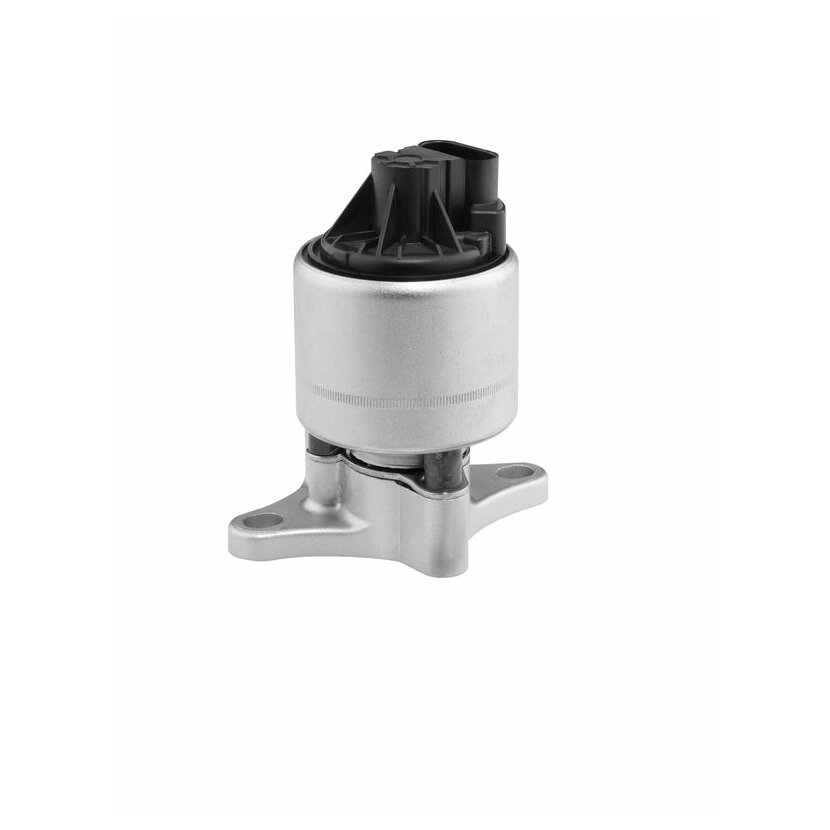 WAHLER AGR-Ventil 712051D/1 für 17094050