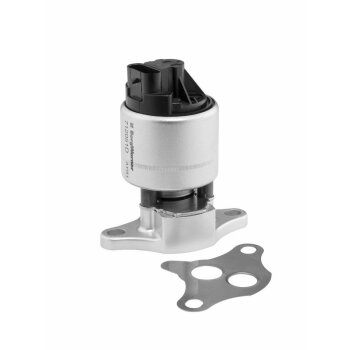 WAHLER AGR-Ventil 712051D/1 für 17094050