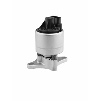 WAHLER AGR-Ventil 712051D/1 für 17094050