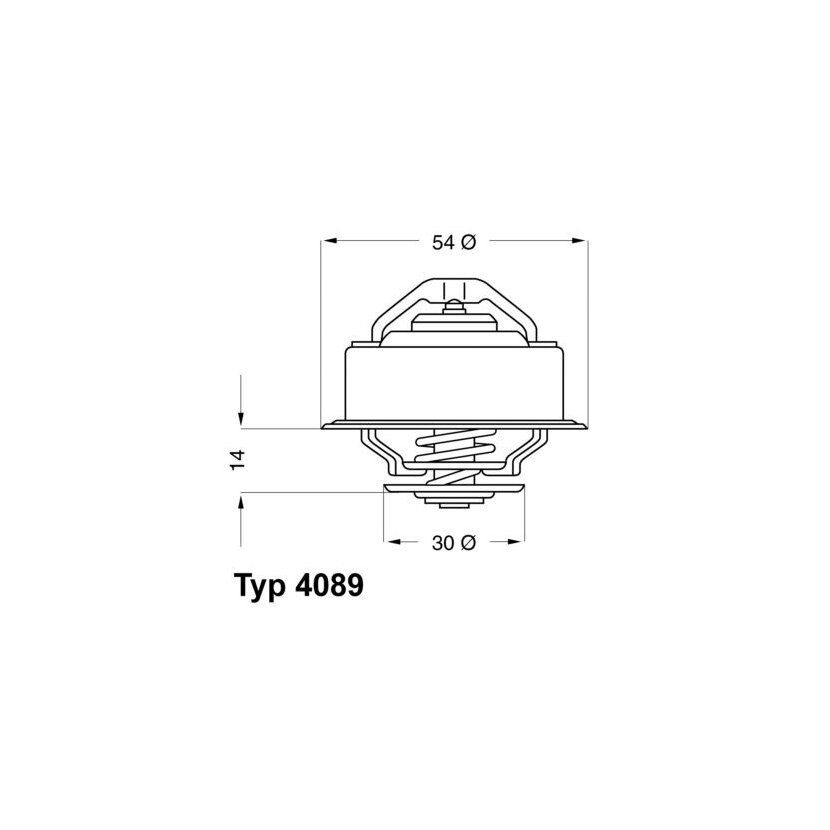 WAHLER Thermostat, Kühlmittel 4089.87 - 408987 für GTS 193