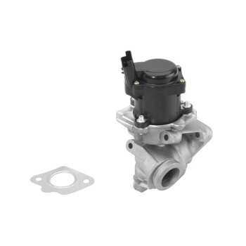 WAHLER AGR-Ventil 710929R für 1618N8
