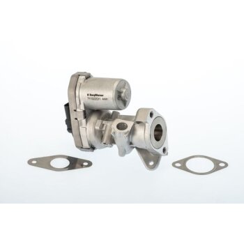 WAHLER AGR-Ventil 711022D für 1618.HQ