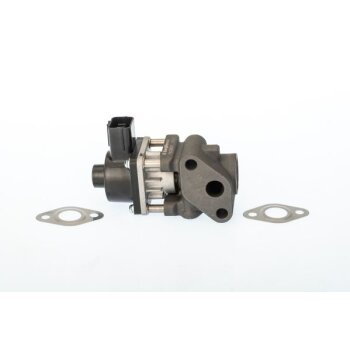 WAHLER AGR-Ventil 711024D/1 für 71742156
