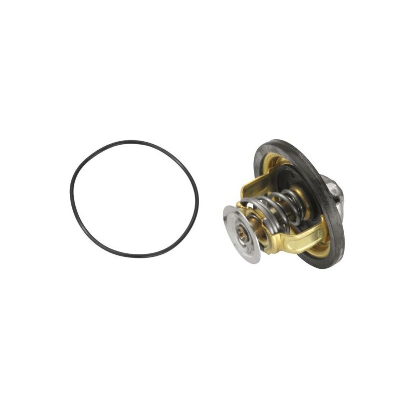 WAHLER Thermostat, Kühlmittel 4174.79D - 417479D für 9846 3637