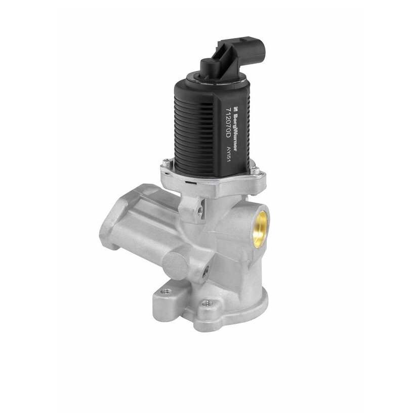 WAHLER AGR-Ventil 712070D/1 für 55206931