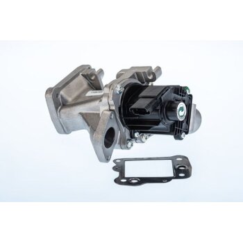 WAHLER AGR-Ventil 710975R für 1618T1
