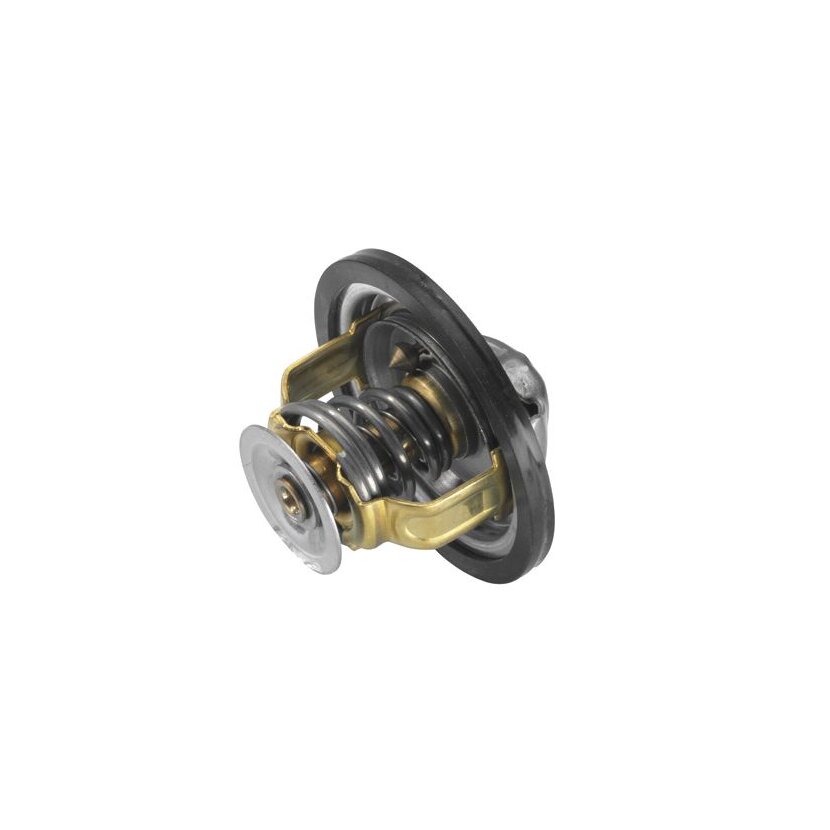 WAHLER Thermostat, Kühlmittel 4151.76D - 415176D für 482 6602
