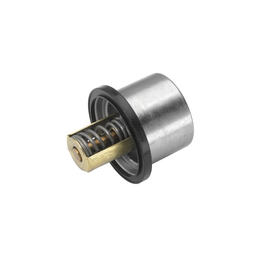 WAHLER Thermostat, Kühlmittel 411133.80D - 41113380D für 129 3885 / F75-85-95