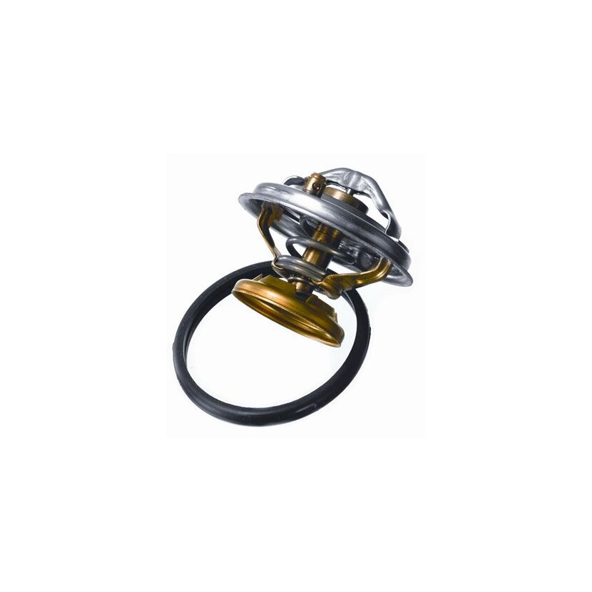 WAHLER Thermostat, Kühlmittel 4176.70D - 417670D
