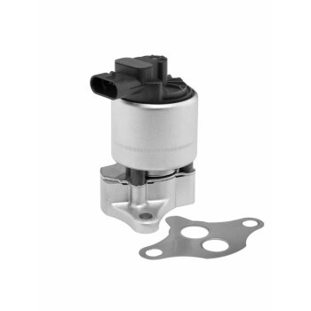 WAHLER AGR-Ventil 712059D/1 für 10794107