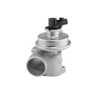 WAHLER AGR-Ventil 712064D/1 für 1417557
