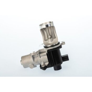 WAHLER AGR-Ventil 710571D/1 für 038 131 501 BH