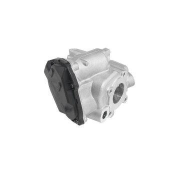 WAHLER AGR-Ventil 712019D für 6511400060