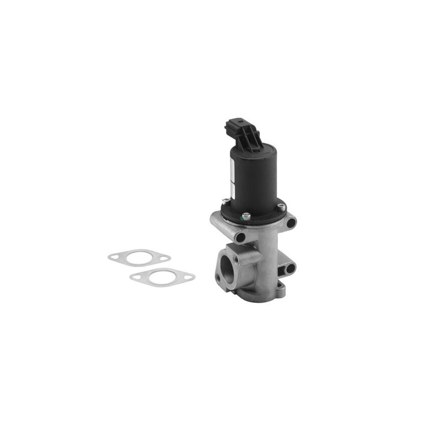 WAHLER AGR-Ventil 710960R für 46785766