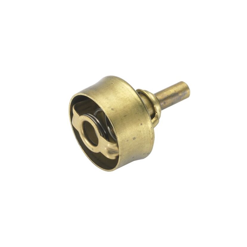 WAHLER Thermostat, Kühlmittel 3029.78 - 302978