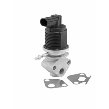 WAHLER AGR-Ventil 712055D für 036131503T