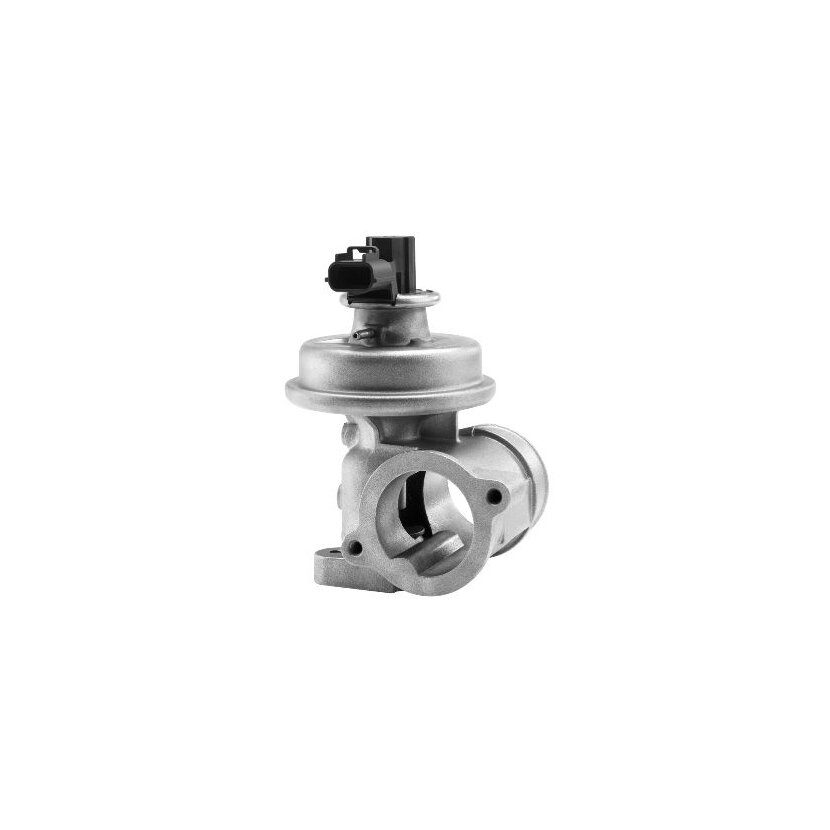 WAHLER AGR-Ventil 710923R für 1220819