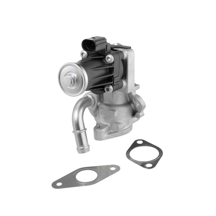 WAHLER AGR-Ventil 712017D für 1673226