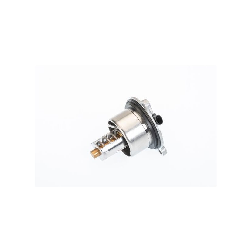 WAHLER Thermostat, Kühlmittel 411076.104D - 411076104D für 9A110622603