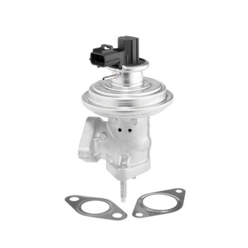 WAHLER AGR-Ventil 712071D für 1198145