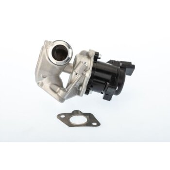 WAHLER AGR-Ventil 710929D/1 für 161846