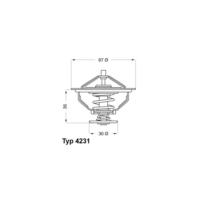WAHLER Thermostat, Kühlmittel 4231.80D - 423180D