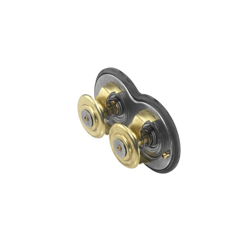 WAHLER Thermostat, Kühlmittel 4224.80D - 422480D für 1 347 594
