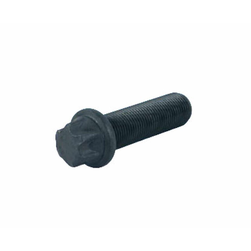 PE Automotive TORX-Schraube - passend für 06.01902-2812