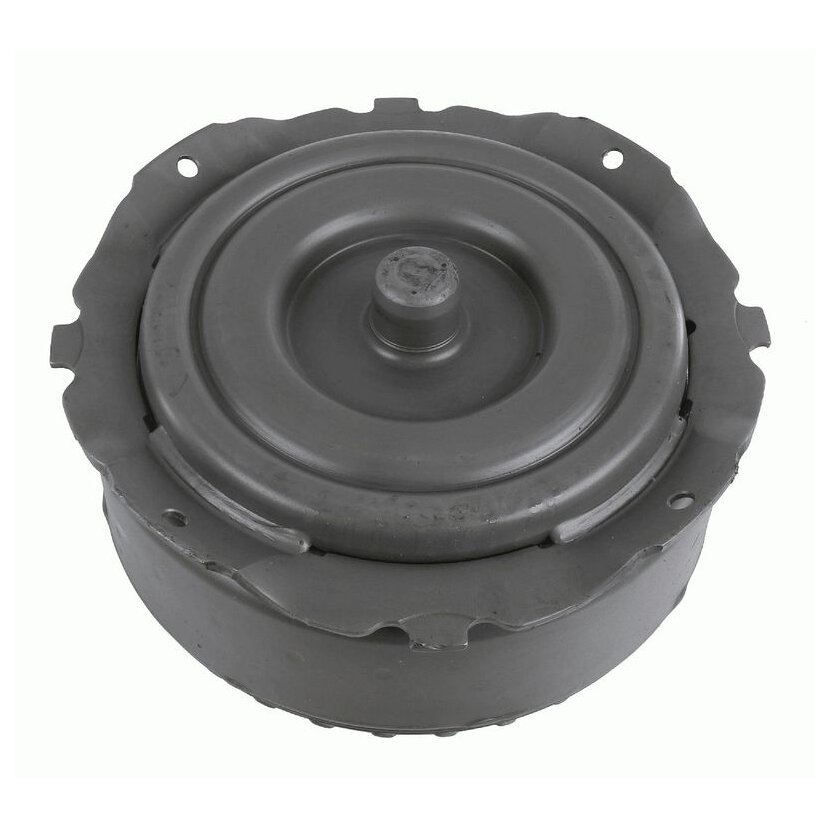 SACHS Drehmomentwandler 0700 600 102 - 0700600102 für 172 250 02 02 80