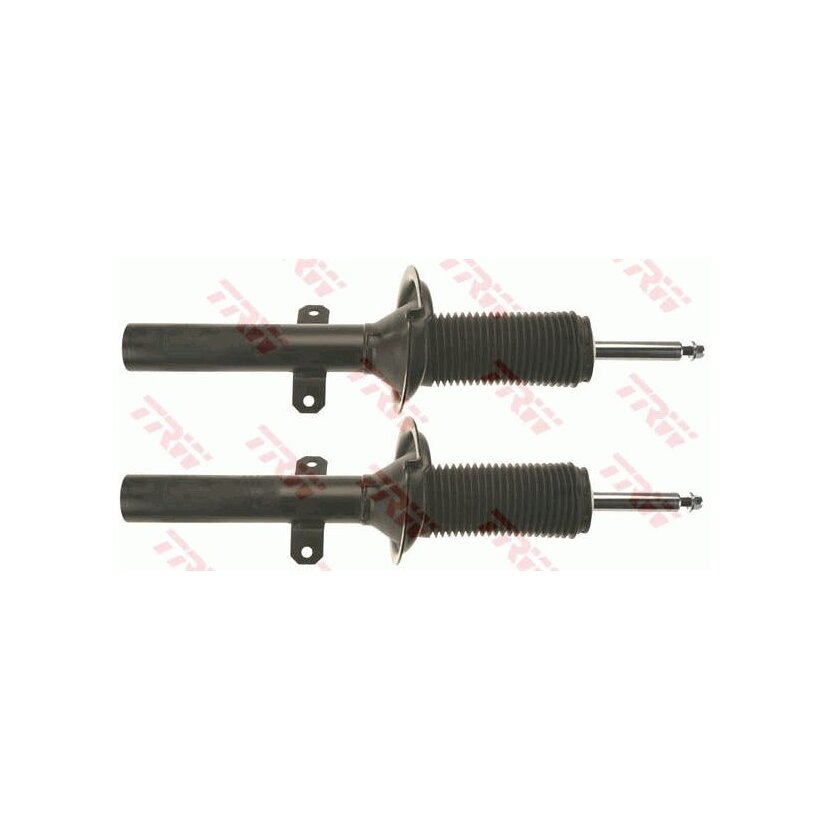 TRW Stoßdämpfer JGM1070T für 1383521