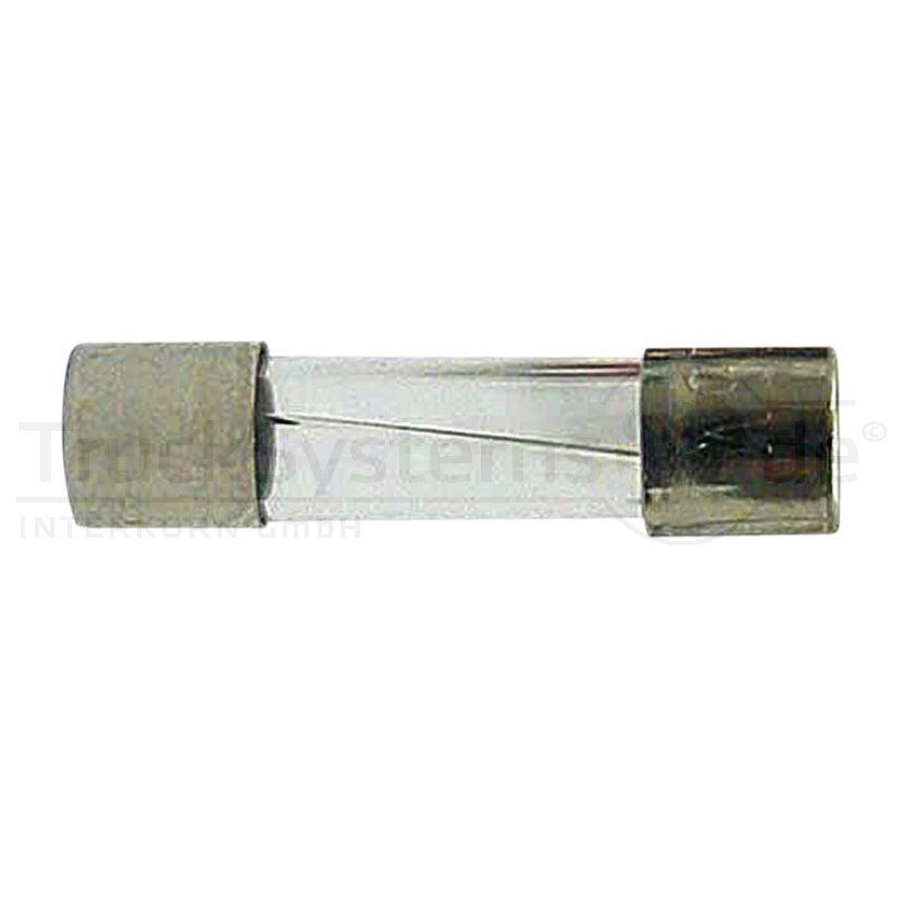 HERTH+BUSS Sicherung Glas, F flink, 5 x 20mm, 2 A - 50295050 - 10 Stück